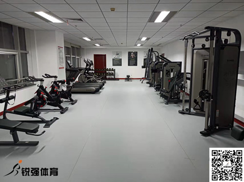 济南某集团采购的beats365官方网站提供的健身器材